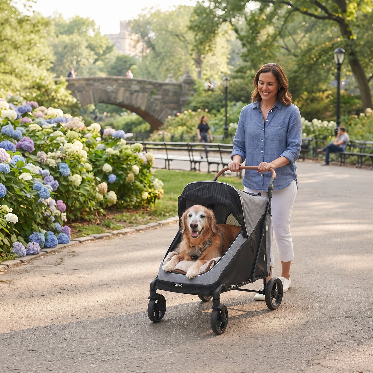 Large Dog Stroller for Senior & Mobility-Limited Dogs - All-Terrain, Up to 66 lbs